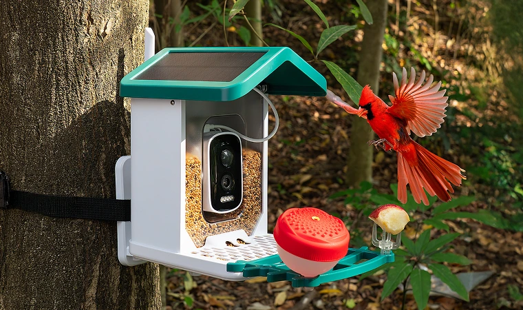 Happy Birdy AI Feeder Performance